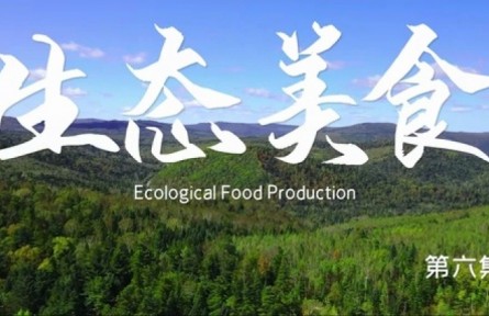美麗中國(guó)·The Great Beauty of China: Ecological Food Production