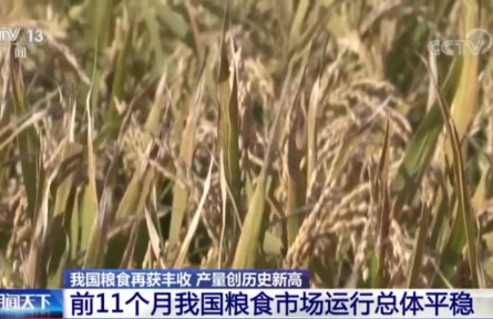 農(nóng)業(yè)農(nóng)村部：我國(guó)糧食市場(chǎng)運(yùn)行總體平穩(wěn)