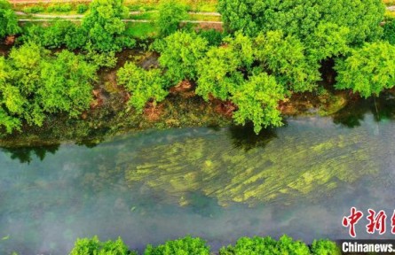 綠水青山”變“金山銀山”——湖南東安探索“生態(tài)立縣”觀察