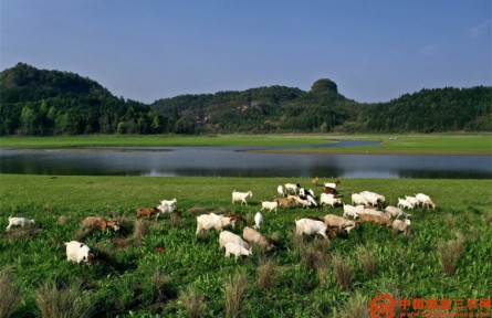 福建泰寧南會村：發(fā)揮生態(tài)優(yōu)勢 助力鄉(xiāng)村振興