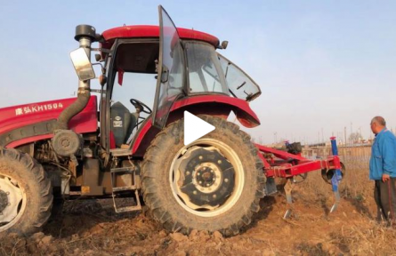 自己造的起苗器，效果現(xiàn)場看