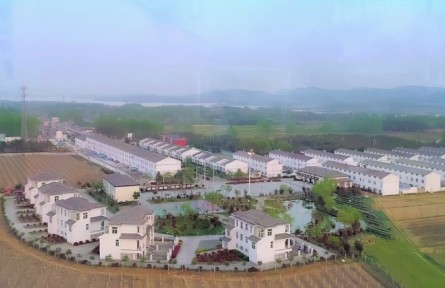 美麗鄉(xiāng)村，振興有我 | 安徽鳳陽：記四位農(nóng)村青年在鄉(xiāng)村廣闊舞臺(tái)上奮斗青春