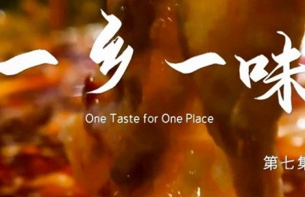 美麗中國(guó)·The Great Beauty of China: One Taste for One Place