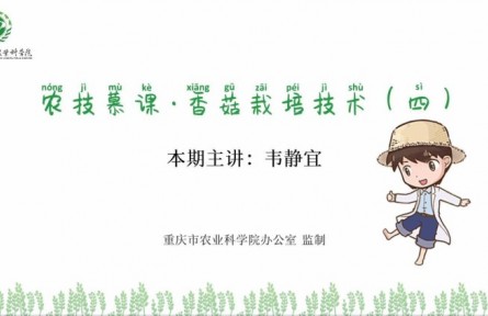 香菇栽培技術(shù)（四）