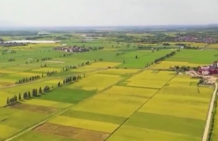 【穩(wěn)字當頭 穩(wěn)中求進：怎么看 怎么辦】守住兩條底線 夯實“壓艙石”