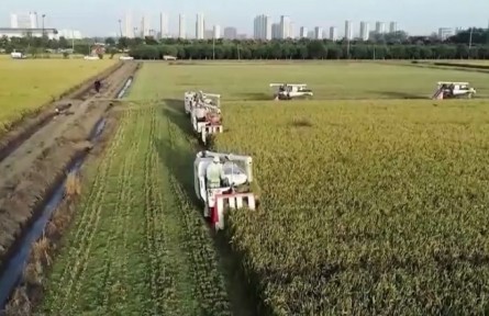 【我們的2021】把飯碗牢牢端在自己手中