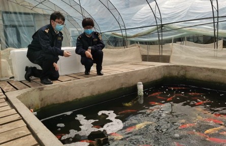 海關(guān)科普：觀賞水生動物如何進境？