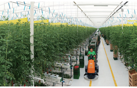 山東高水平打造鄉(xiāng)村振興齊魯樣板