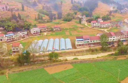 四川達州萬源：壯大農(nóng)村人才隊伍 為鄉(xiāng)村振興注入新動能