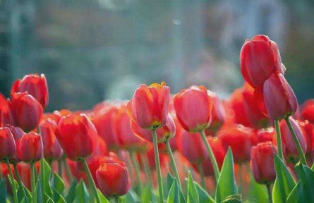 長(zhǎng)安論道 | 做對(duì)了做好了，才叫做實(shí)了