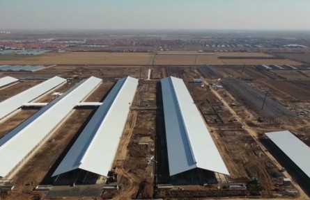 山東省濰坊市：搶抓黃河流域高質(zhì)量發(fā)展戰(zhàn)略機遇 擦亮農(nóng)業(yè)金字招牌