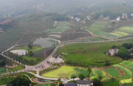 重慶：助力鄉(xiāng)村振興 819家民企參與“萬企興萬村”行動