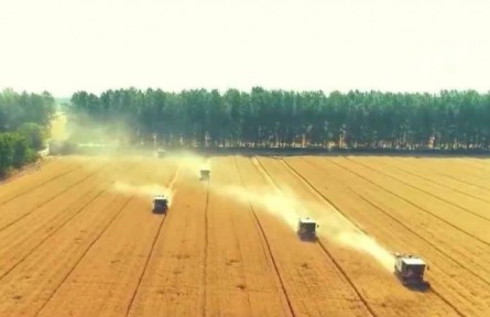 河南：奮勇?tīng)?zhēng)先 讓新時(shí)代中原更加出彩