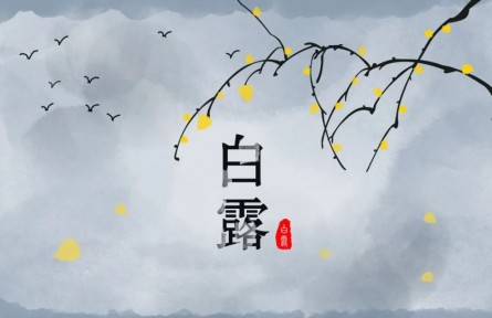 白露，繁華季節(jié)的謝幕