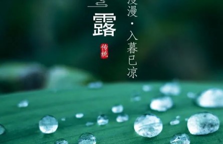 寒露，露似真珠月似弓