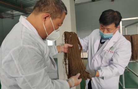 延安大學王曉澗：為陜北小雜糧注入更高的科技含量