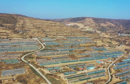 寧夏彭陽：大力發(fā)展設(shè)施蔬菜產(chǎn)業(yè) 守好群眾“菜籃子”