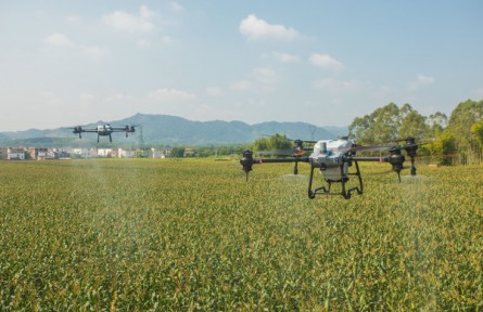 河南孟州：農(nóng)業(yè)社會(huì)化服務(wù)織密農(nóng)村公共服務(wù)網(wǎng)