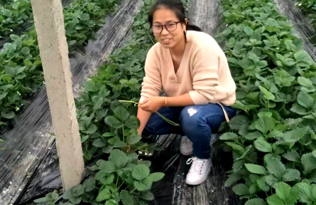 浙江德清沈佳：大學生變身“新農(nóng)人”