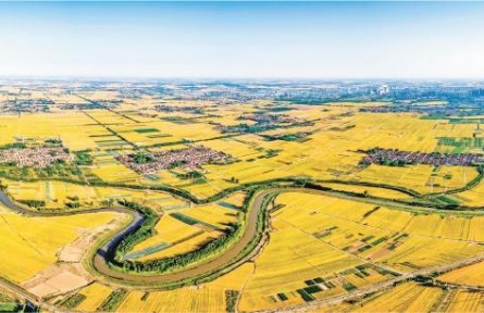 山東：高質(zhì)量高水平描繪鄉(xiāng)村振興壯美畫(huà)卷