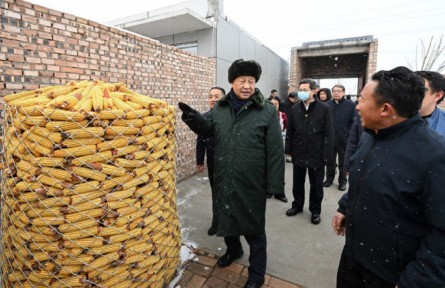 嘮家常 問冷暖 習近平春節(jié)前冒雪走基層