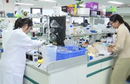 海南三亞：南繁育種忙 春節(jié)不停歇