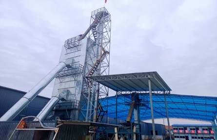 山東省濟南市商河縣：“抱團”種糧拓富路