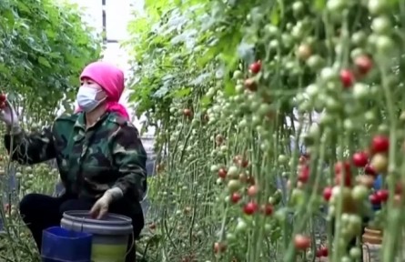 農(nóng)業(yè)農(nóng)村部：多措并舉確保產(chǎn)品供應