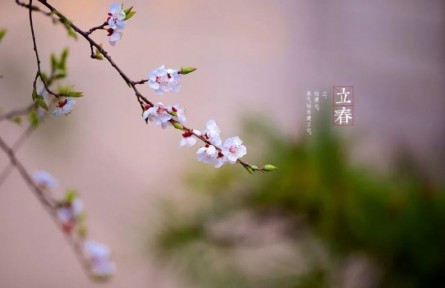 立春，春到人間草木知