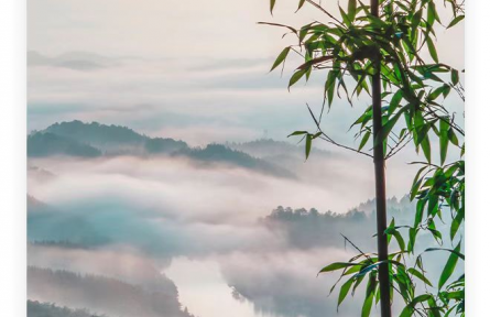 名人名言 | 孔子：其身正，不令而行；其身不正，雖令不從