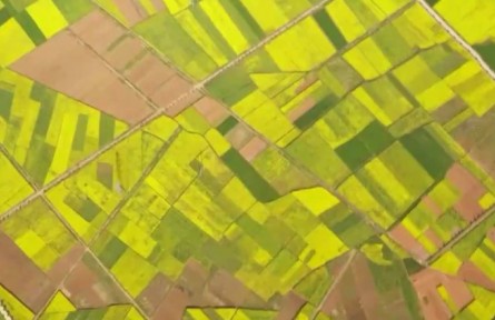 今日立春：民俗傳遞祝愿 農事耕耘豐收