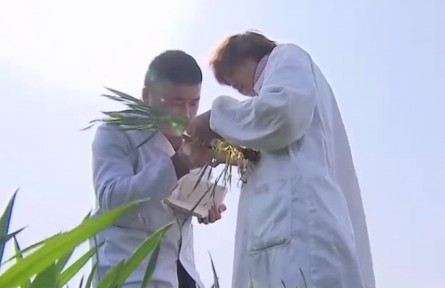 安徽：開局抓作風 聚力謀發(fā)展