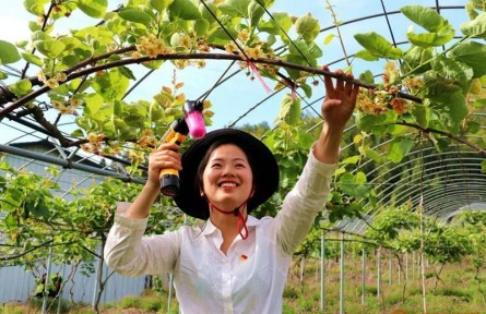 福建柘榮繆帶弟：巾幗能手撐起致富“半邊天”