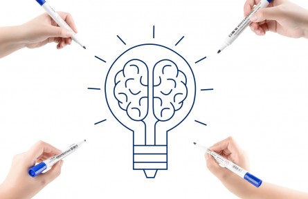 科普 | 在22世紀(jì)依舊是前沿科學(xué)？大腦圖譜結(jié)構(gòu)了解一下！