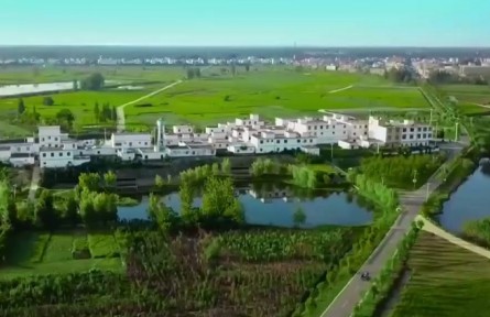 安徽：做強(qiáng)鄉(xiāng)村產(chǎn)業(yè) 賦能鄉(xiāng)村振興