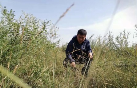 劉海江：十余載初心不改，做好生態(tài)環(huán)境保護(hù)的“眼睛”和“耳朵”