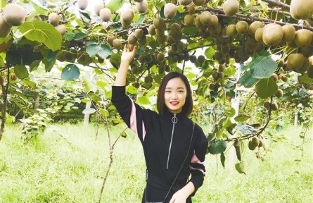 “豬倌”、獼猴桃、小瓜子……“巾幗新農(nóng)人”奮斗路上故事多