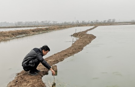 “新農(nóng)人”小周的養(yǎng)蝦“經(jīng)”
