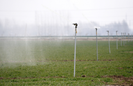 全國土壤普查 national soil census