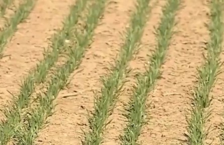 備春耕 保供給 穩(wěn)住農(nóng)業(yè)基本盤