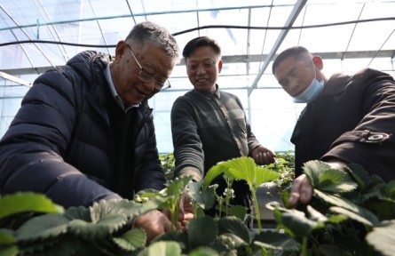 “全國(guó)脫貧攻堅(jiān)楷?！壁w亞夫：帶民同致富，把成績(jī)寫在大地上