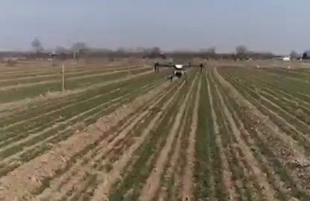 陜西：緊盯弱苗加強返青期田間管理 確保小麥豐產(chǎn)穩(wěn)產(chǎn)