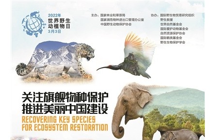 世界野生動(dòng)植物日宣傳活動(dòng)在各地舉辦