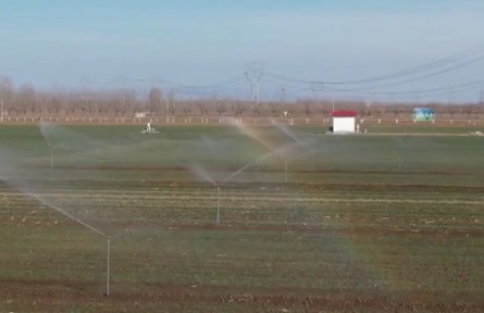 山東：藏糧于地、藏糧于技 確保中國人的飯碗主要裝中國糧