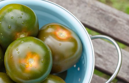 被催熟的西紅柿食用起來安全嗎？