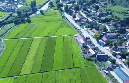 【奮進新征程 建功新時代】陜西富縣張家灣鎮(zhèn)：草畜循環(huán) 帶動鄉(xiāng)村振興