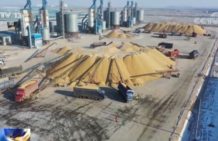 國家糧食和物資儲備局：我國糧食安全形勢總體較好 保供穩(wěn)價基礎扎實