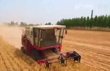 扛牢農(nóng)業(yè)大省責(zé)任 打造鄉(xiāng)村振興齊魯樣板