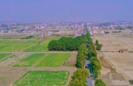 江西南昌：農(nóng)業(yè)豐收 農(nóng)民增收 夯實(shí)共同富?；A(chǔ)