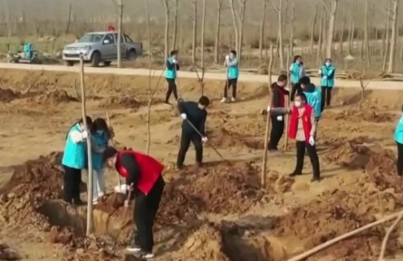 第44個(gè)植樹(shù)節(jié) 多地群眾干部積極開(kāi)展植樹(shù)活動(dòng)